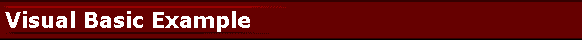 Visual Basic Example