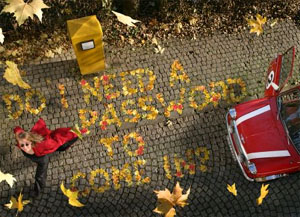 On the web, everybody needs a password