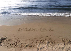 Easy to use with Visual Basic, Visual C++